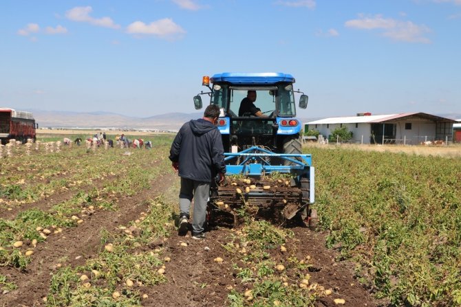 Patates 7 Tl’yi Bulan Satış Fiyatıyla Üreticisinin Yüzünü Güldürdü