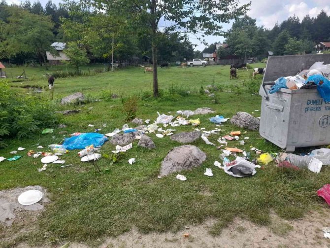 İ̇nsanlar Buraya Gezmeye Geliyorlar, Doğaya Elindeki Çöpü Bırakıp Gidiyor