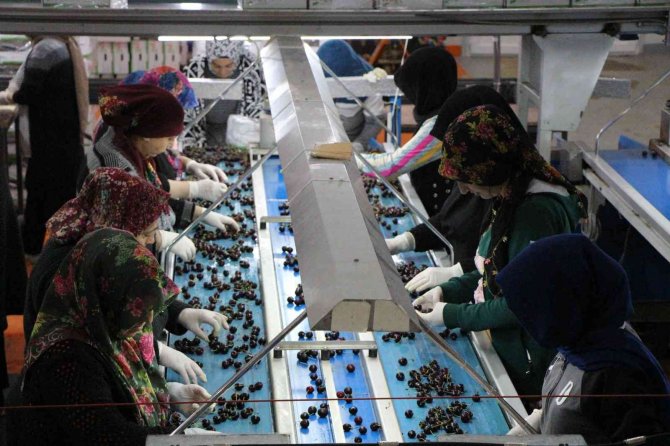 Amasya Kirazına Coğrafi İşaret