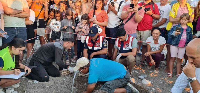Yuvadan Çıkamayan Caretta Carettalar Jandarma Tarafından Denizle Buluşturuldu