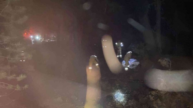 Karacasu’da Orman Yangını Büyümeden Söndürüldü