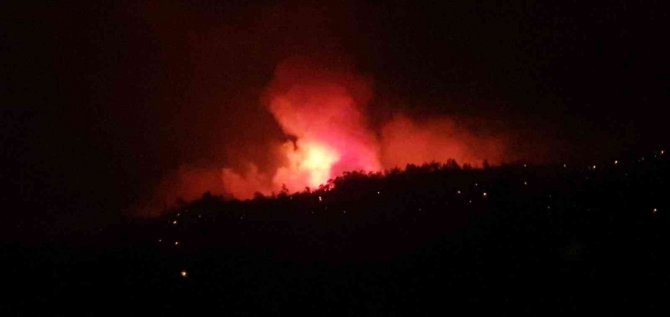 Karacasu’da Orman Yangını Büyümeden Söndürüldü