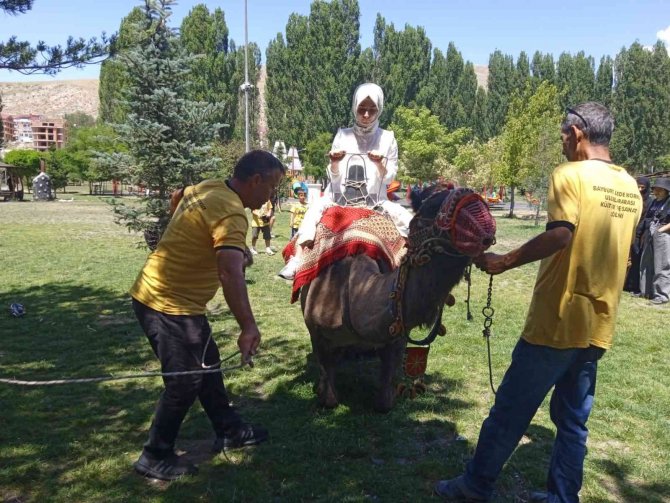 Bayburt’ta Develer Ve Midilli Atları İlgi Odağı Oldu