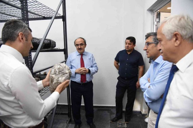 Düzce Üniversitesi’nden Mantar Üretiminde Bir İlk