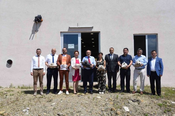 Düzce Üniversitesi’nden Mantar Üretiminde Bir İlk