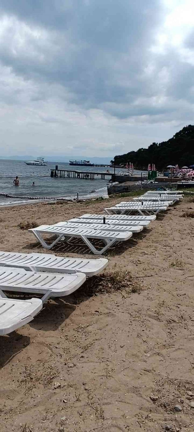 Büyükada’da Halk Plajına Giden Vatandaşlar “Striknin” Tehlikesi İle Karşı Karşıya