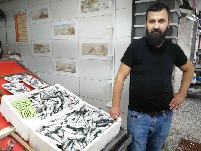 Geçtiğimiz Hafta 150 Liraya Kadar Ulaşan Sardalyanın Kilosu 100 Liraya Düştü