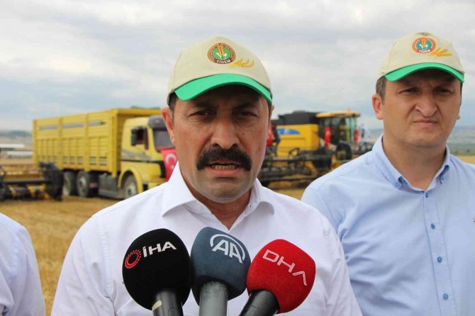 Geçen Yılın En Kurak Kenti Amasya’da Yağışlar Berekete Dönüştü