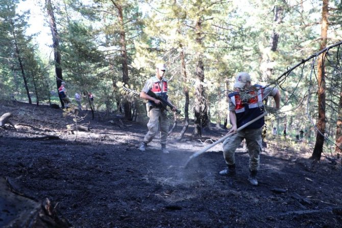 Ormanlık Alanlara Girişler 31 Ağustos’a Kadar Yasaklandı
