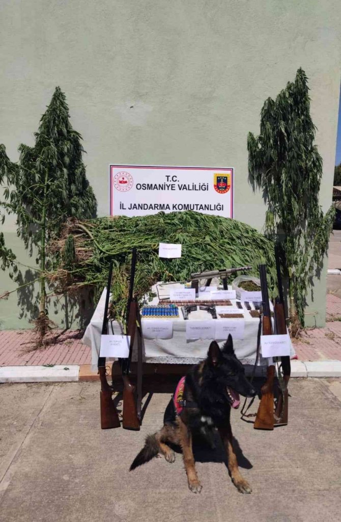 Osmaniye’de Uyuşturucu Operasyonuna 1 Tutuklama