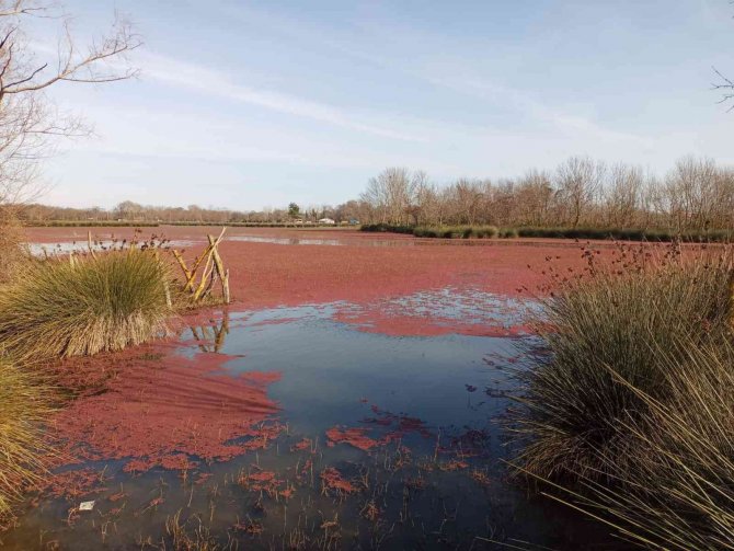 Tabiat Parklarına Ziyaretçi Akını