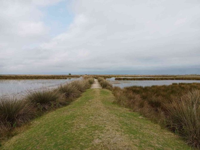 Tabiat Parklarına Ziyaretçi Akını