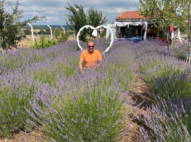 Kütahya’da Kadın Üreticiden Lavanta Üretimi