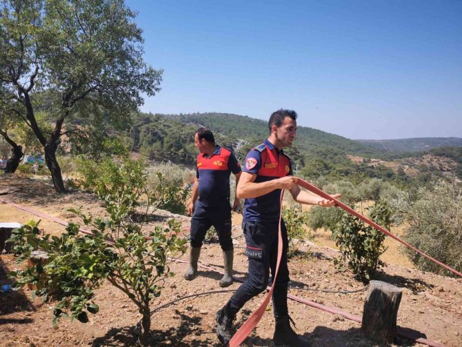 360 Kilometre Mesafeden Gelip Ayaklarının Tozu İle Evi Yanmaktan Kurtardılar