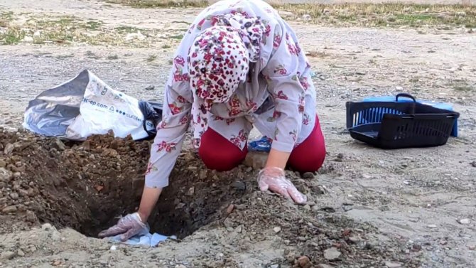 Pompalı Tüfek İle Öldürülen Kedisi İçin Ağladı