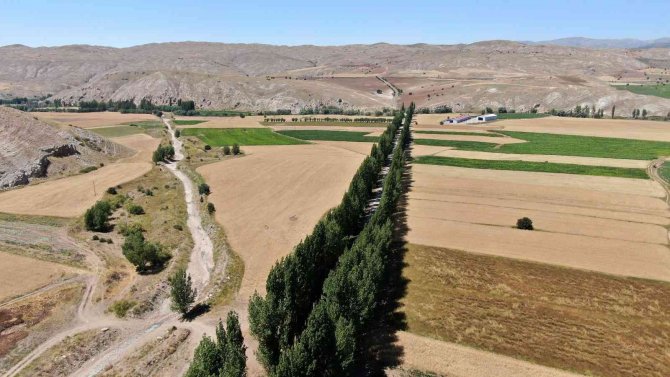 Bu Koridora Giren Hayran Kalıyor