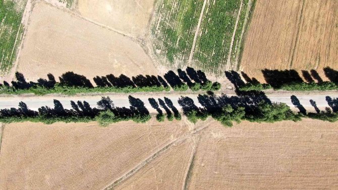 Bu Koridora Giren Hayran Kalıyor