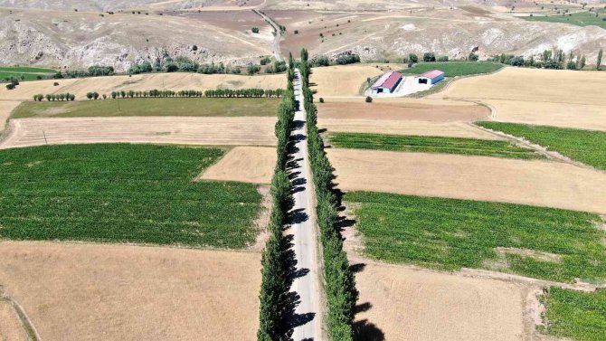 Bu Koridora Giren Hayran Kalıyor