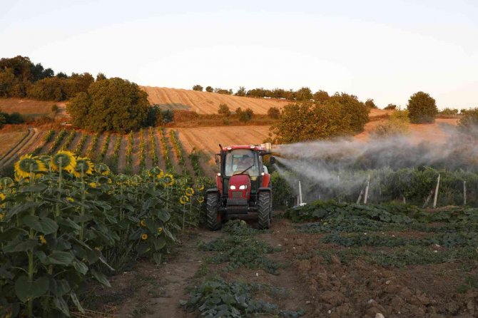 Tırtıl Basan Tarlalara, İ̇negöl Belediyesi’nden Anında Müdahale