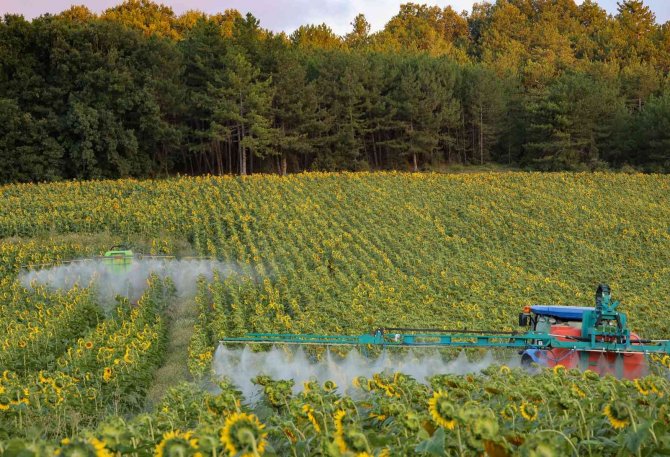 Türkiye’de İlk Kez Çayır Tırtılıyla Mücadelede Kullanıldı