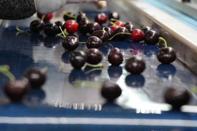 Amasya Kirazına Coğrafi İşaret