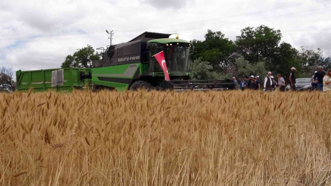 Yozgat’ta Hububat Hasat Günü Etkinliği Düzenlendi