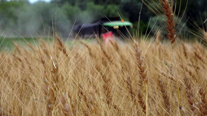 Yozgat’ta Hububat Hasat Günü Etkinliği Düzenlendi