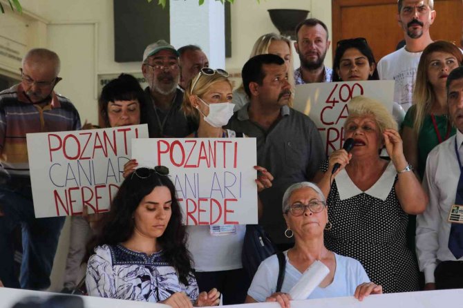 Hayvanseverler 400 Köpeğin Akıbetini Sordu