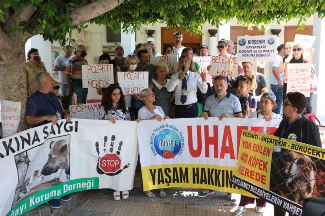 Hayvanseverler 400 Köpeğin Akıbetini Sordu