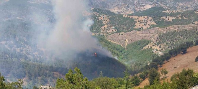 Adana’da Orman Yangını