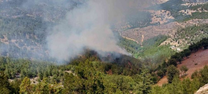 Adana’da Orman Yangını