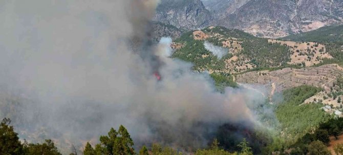 Adana’da Orman Yangını