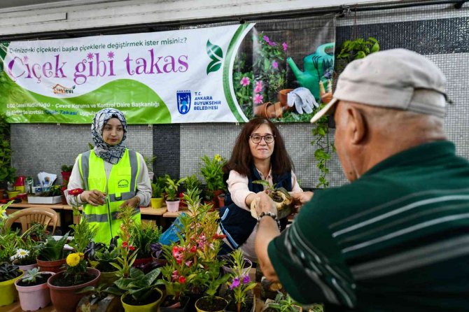 Başkentte ‘Çiçeğim Takas’ Uygulaması Devam Ediyor