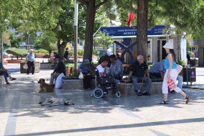 Sıcağı Gören Parklara Koştu
