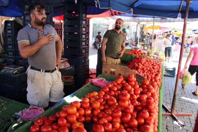 Salçalık Domatesler Tezgahlara İndi