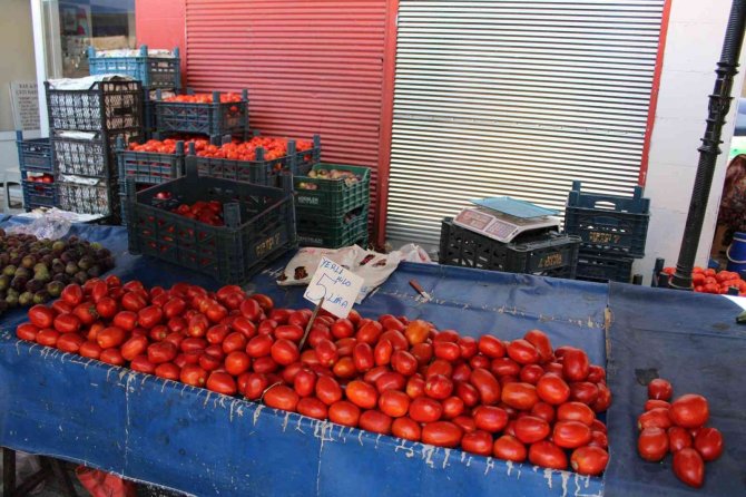 Salçalık Domatesler Tezgahlara İndi