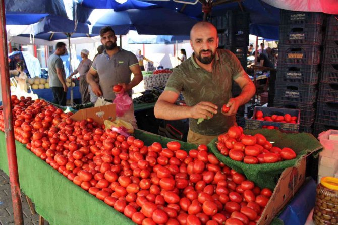 Salçalık Domatesler Tezgahlara İndi