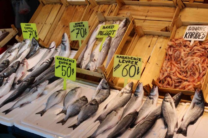 Bandırma Balık Halinde Tezgahlar Canlandı