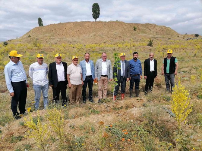 Başkan Pekmezci, Hatıra Ormanının Açılışına Katıldı