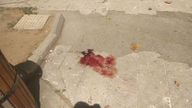 Bursa’da Şikayetinden Vazgeçmeyen Muhtara Kurşun Yağdırdı