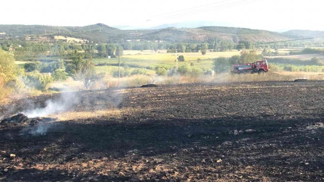 Çanakkale’de Anız Yangını