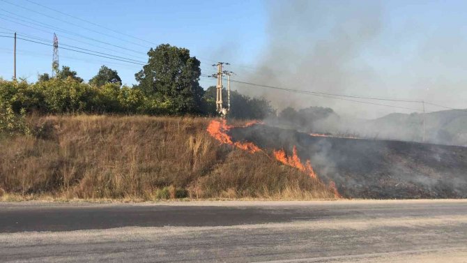 Çanakkale’de Anız Yangını