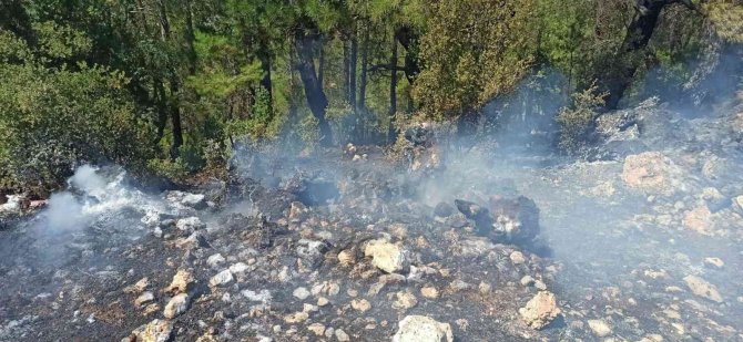 Çameli’nde Çıkan Orman Yangını Büyümeden Söndürüldü