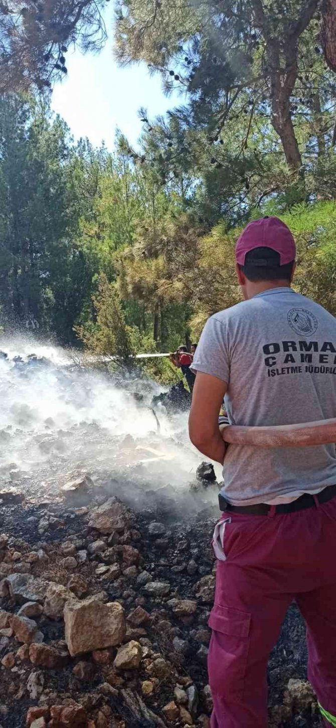 Çameli’nde Çıkan Orman Yangını Büyümeden Söndürüldü