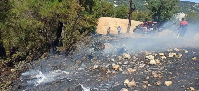 Çameli’nde Çıkan Orman Yangını Büyümeden Söndürüldü
