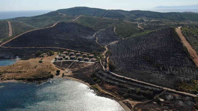Seferihisar’da Yanan Alan Havadan Görüntülendi