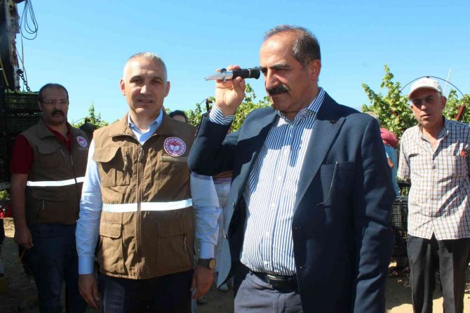 Hasat Edilen Üzümlerde İlk İhraç Tırları Yola Çıktı