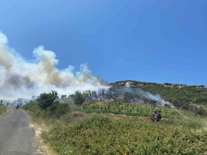 Tekirdağ’da Çıkan Orman Yangını Kontrol Altına Alındı