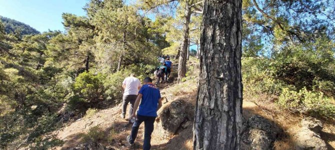 İ̇zmir’de Kaybolan Alzheimer Hastası Yaşlı Kadın Aydın’da Aranıyor