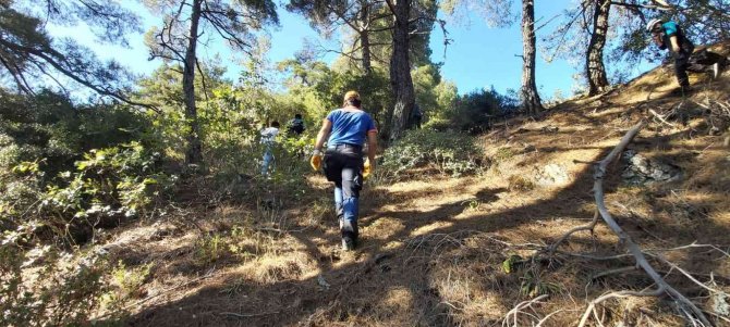 İ̇zmir’de Kaybolan Alzheimer Hastası Yaşlı Kadın Aydın’da Aranıyor